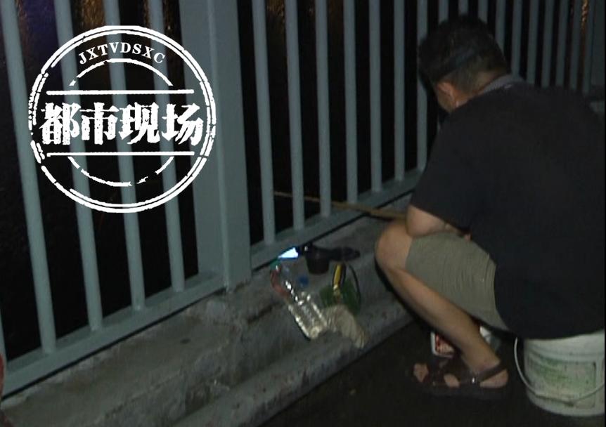 DƬ